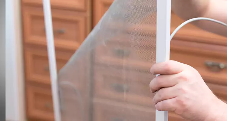 Privacy Mesh Screen Door Installation in Foster City, CA